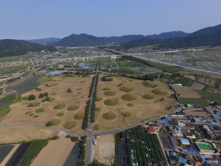 진해군항제 2026 벚꽃: 봄의 절정, 완벽 가이드 분석